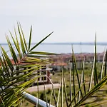 Red Iguana