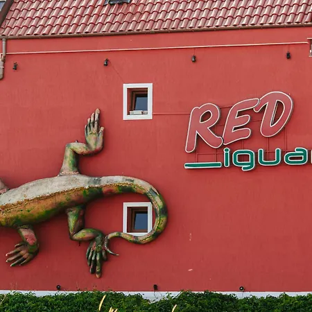 Red Iguana 3* سفيتي فلاس
