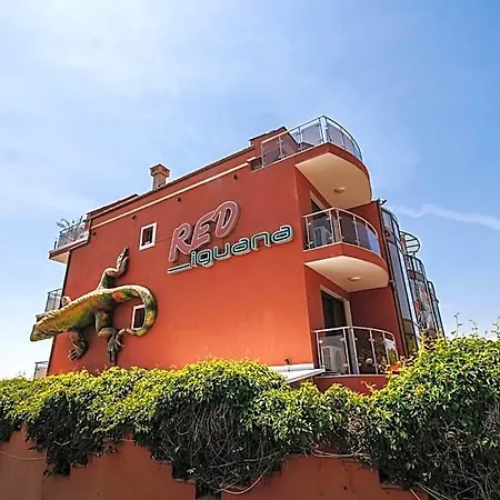 Red Iguana 3* Sveti Vlas